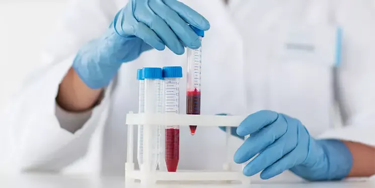Laboratorio